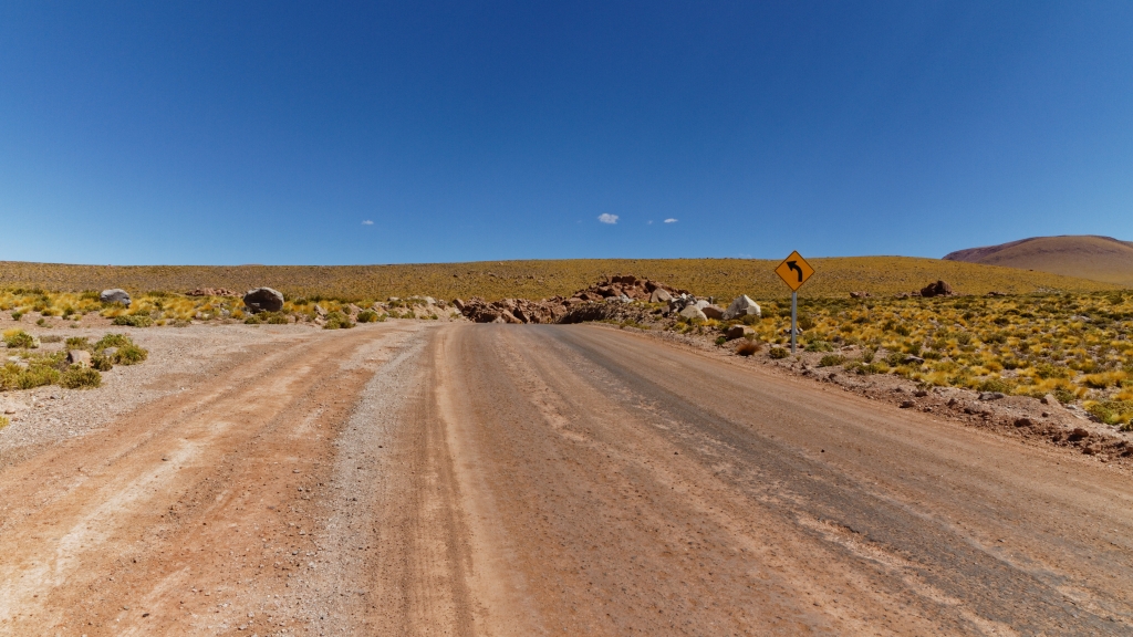 01 - Désert d'Atacama (41).jpg